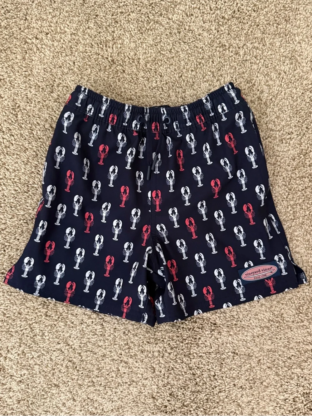 PRICE FIRM Vineyard Vines Kids Chappy Beach Lined Swim Trunks Size 6 WORN ONCE